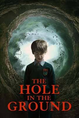 ดูหนังออนไลน์ฟรี The Hole in the Ground (2019) หลุมดำซ่อนผวา
